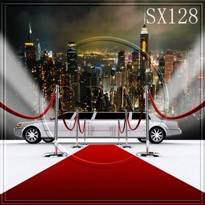10'x10' SX128